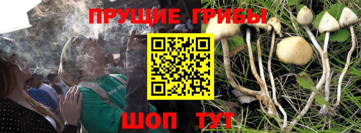 Псилоцибиновые грибы Psilocybe  Вход с VPN  Донецк 